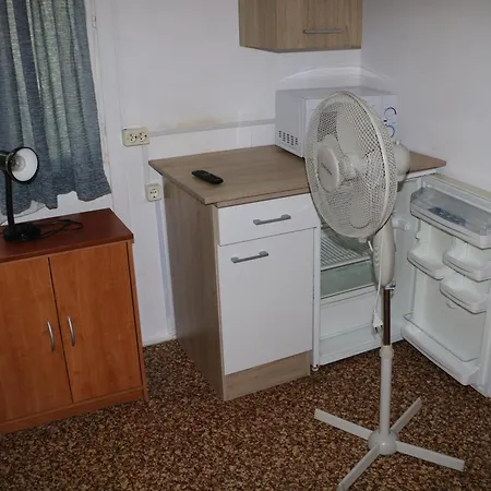 Tulipan * Gyenesdiás