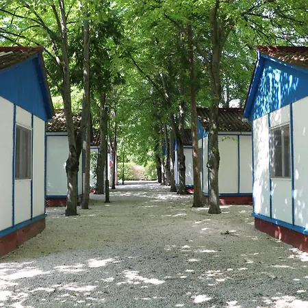 Kamp alanı Tulipan *