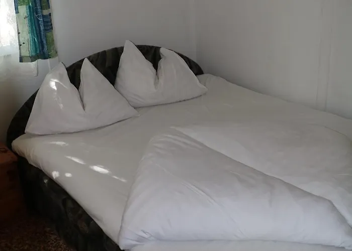 营地 Tulipan 根尼斯迪亚斯