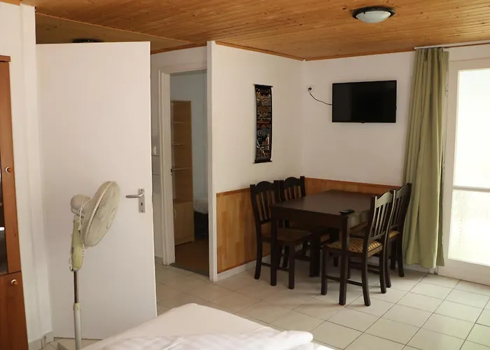 Tulipan 根尼斯迪亚斯