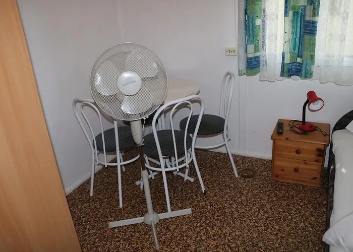 Tulipan * 根尼斯迪亚斯