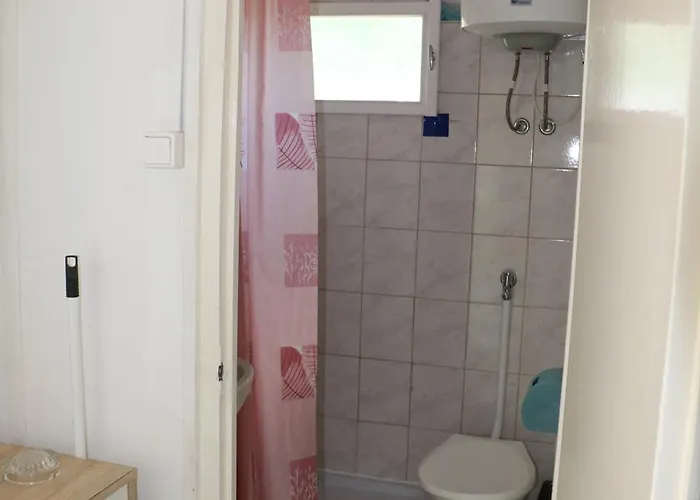 营地 Tulipan 根尼斯迪亚斯