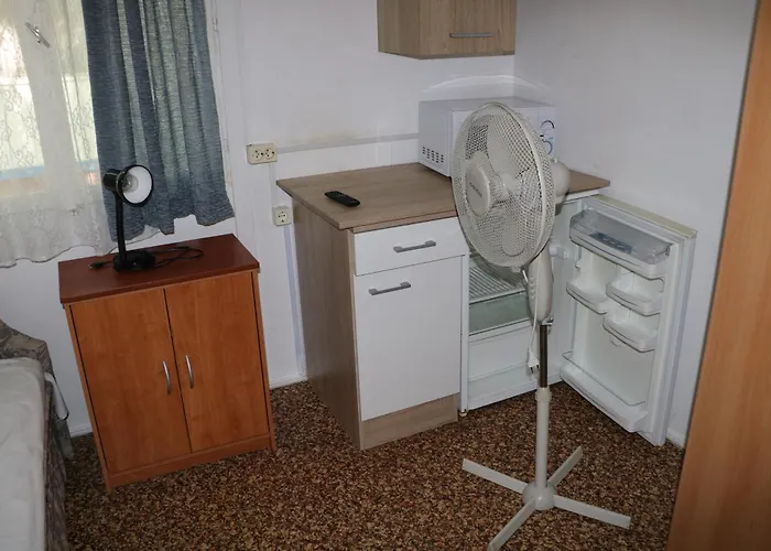 Tulipan * 根尼斯迪亚斯