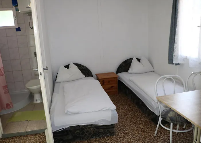 Tulipan 根尼斯迪亚斯