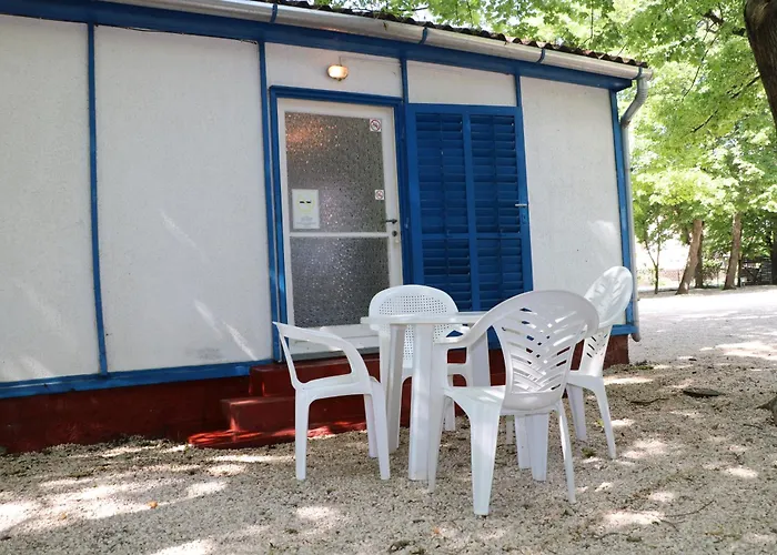 Tulipán Camping