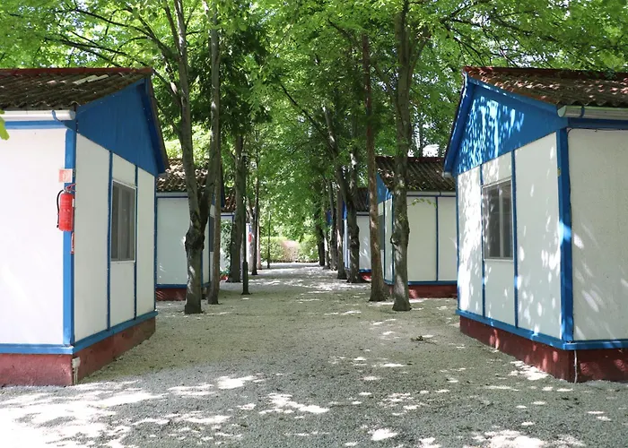 Camping Tulipán *
