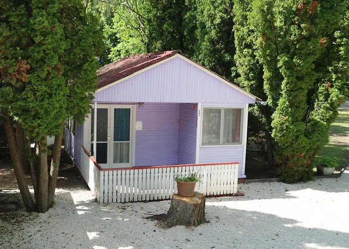 Tulipan * 根尼斯迪亚斯