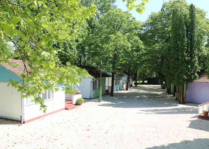 Tulipán